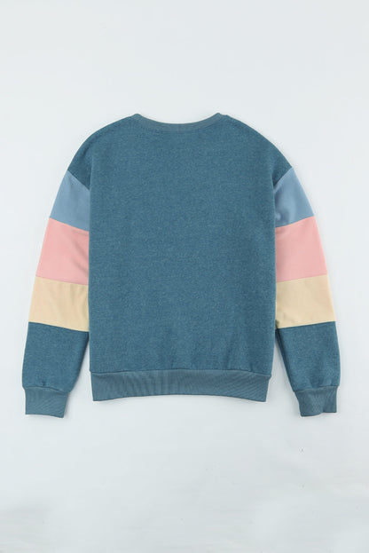 Color Block Round Neck Long Sleeve Sweatshirt Trendsi