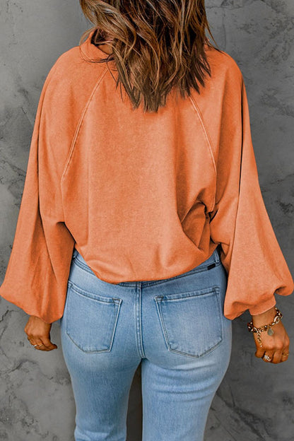 Half Snap Long Sleeve Sweatshirt Trendsi